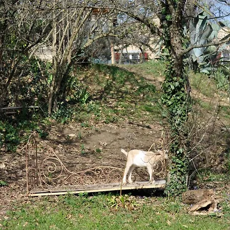Sitio Nathalie Et Jos * Saint-Laurent-de-Carnols